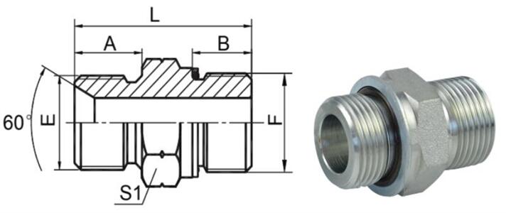 Straight BSP Male 60° Seat BSP Male O-Ring Adapter Fittings 1BG - hifittings.com